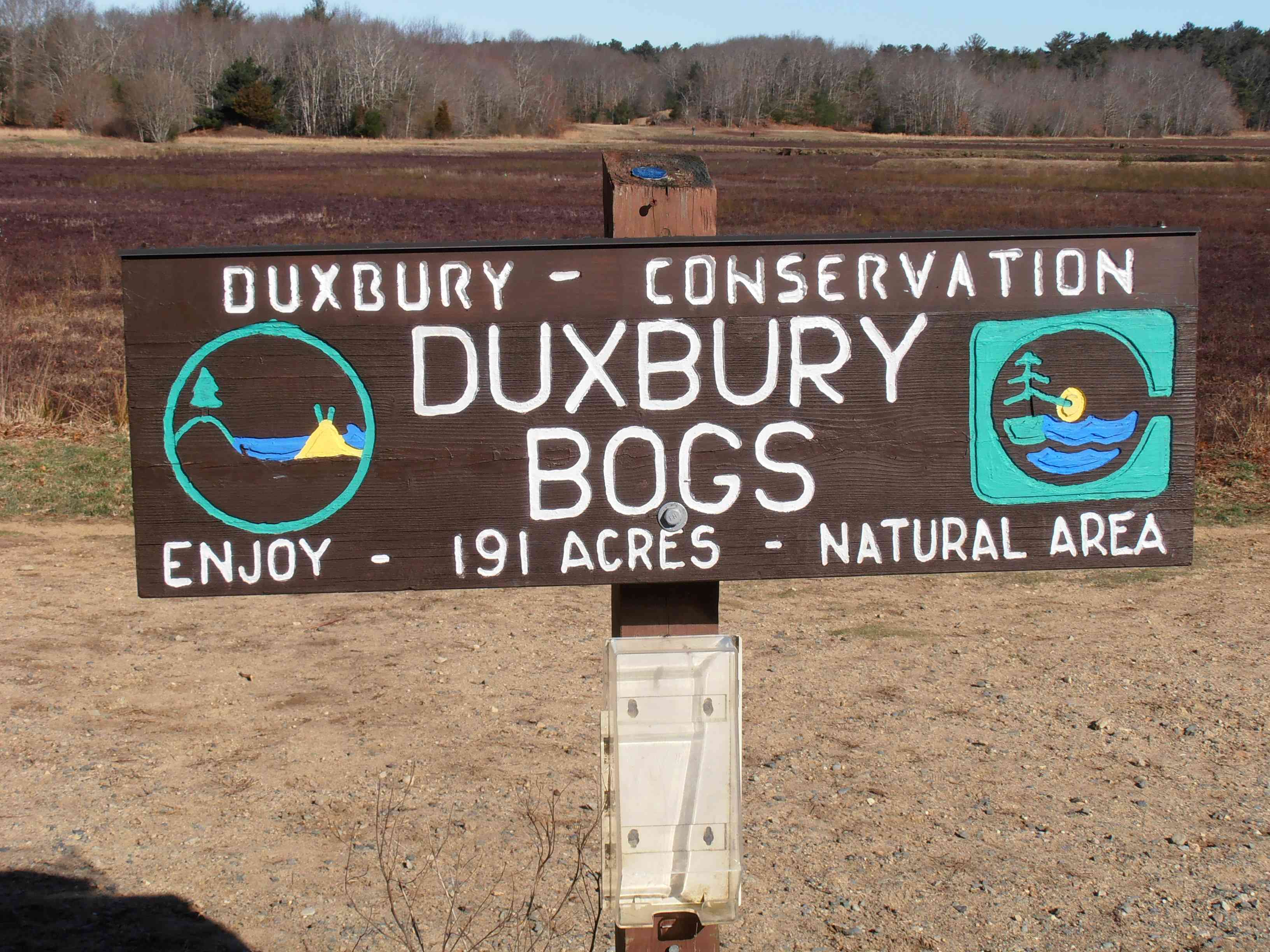 Bogs